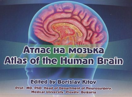 Atlas of the Human Brain