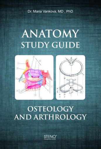 Anatomy Study Guide