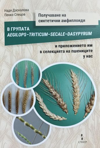 Получаване на синтетични амфиплоиди в групата Aegilops-Triticum-Secale-Dasypyrum