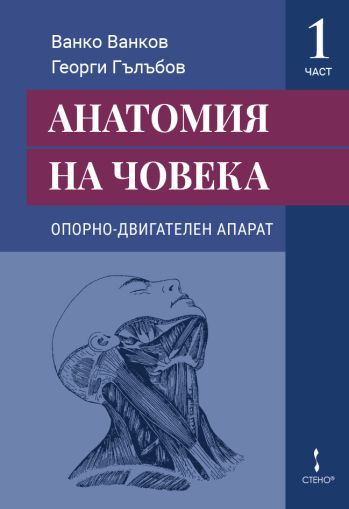 Анатомия на човека Част 1: Опорно-двигателен апарат