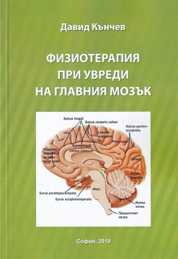 Физиотерапия при увреди на главния мозък