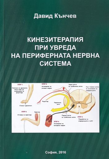 Кинезитерапия при увреда на периферната нервна система