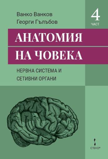 Анатомия на човека Част 4: Нервна система и сетивни органи