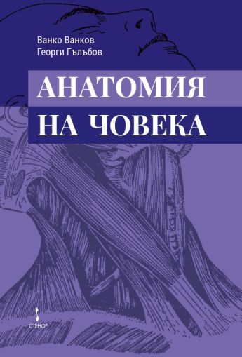 Анатомия на човека