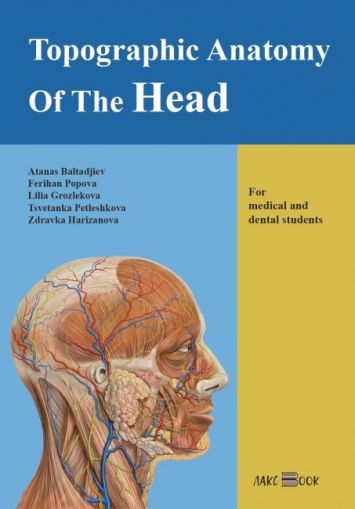 Topographic Anatomy of the Head