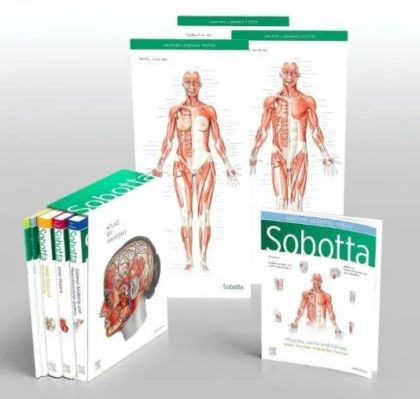 Sobotta Atlas of Anatomy, Package, 17th ed., English/Latin