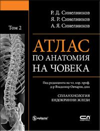 Атлас по анатомия на човека на Синелников Том 2 